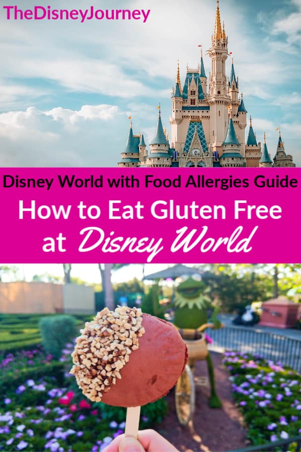 Gluten free at Disney World pin