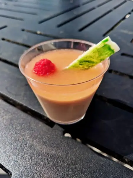Panna Cotta al Melone at Epcot's Flower and Garden Festival