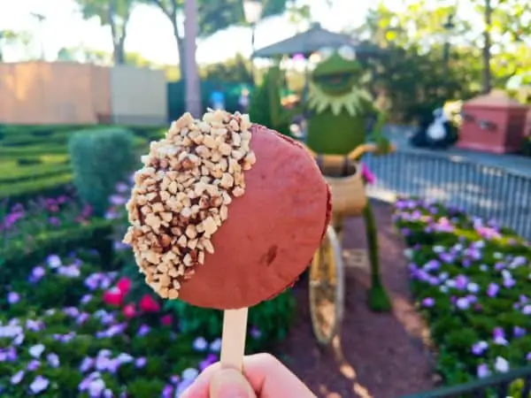 Chocolate Macaron Lollipop in front of Kermit the Frog topiary at Epcot