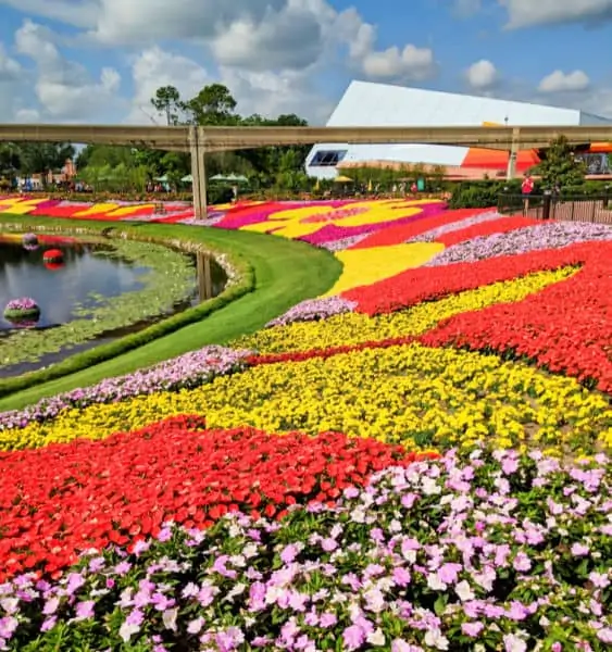 Flowers at Epcot 
