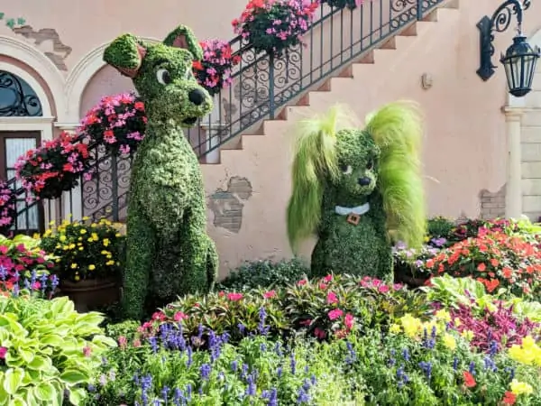 Lady and the Tramp Topiary at Epcot Flower and Garden Festival