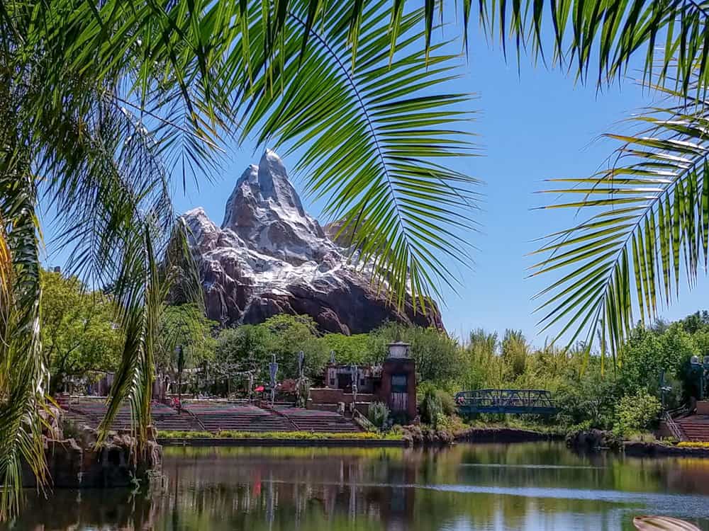 View from Flame Tree BBQ