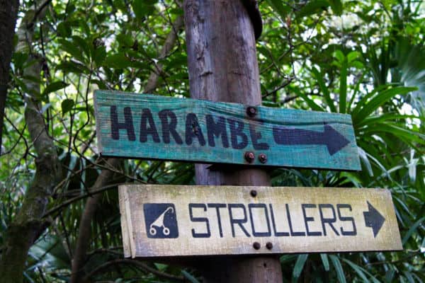 Stroller sign at Disney's Animal Kingdom