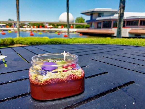 Chocolate Pudding Terrarium at Epcot Flower and Garden Festival