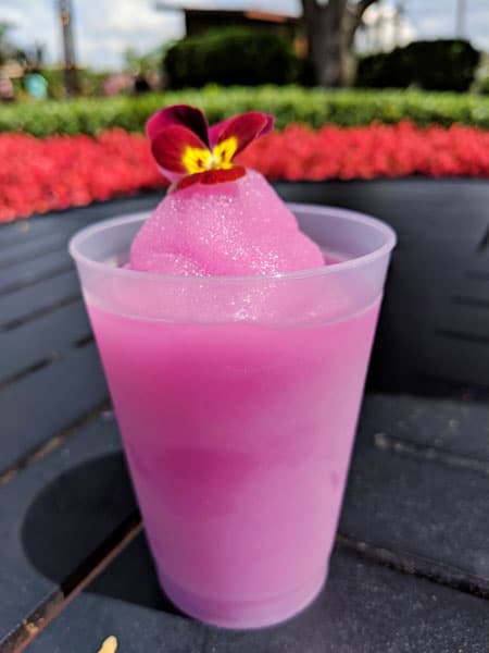 Violet Lemonade at Flower and Garden Festival