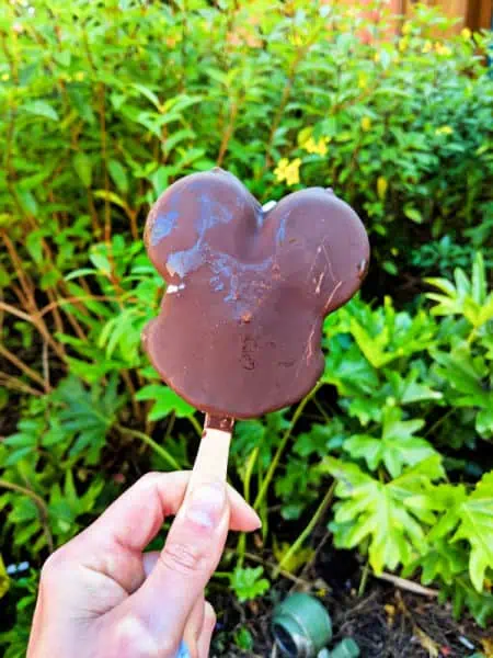 Mickey Bar from Disney World