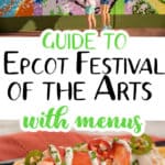 epcot festival of the arts pin image