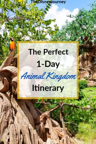 Animal kingdom itinerary pin image