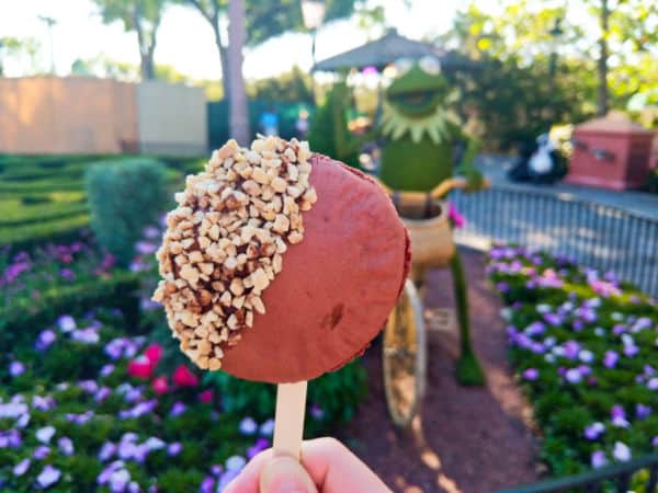 Macaron lollipop snack at Disney World