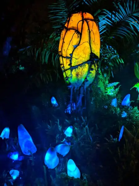 Pandora at night at Animal Kingdom