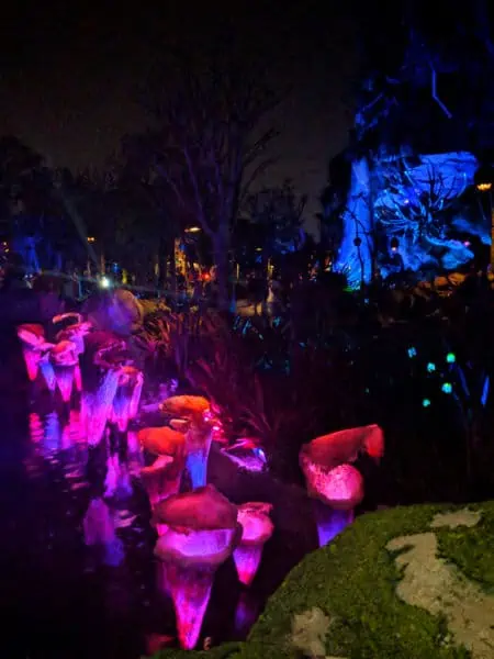 Pandora at night at Disney's Animal Kingdom