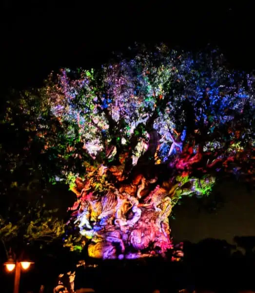 Tree of Life awakenings light show at Animal Kingdom