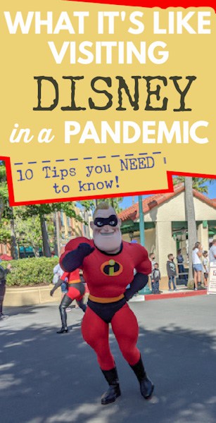 Visiting Disney during a pandemic pin image
