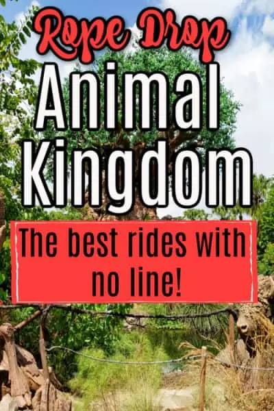 Pin image for Animal Kingdom Rope Drop