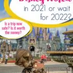 is it safe to go to disney in 2021 pin image