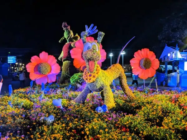 Pluto Topiary during Epcot flower and garden festival