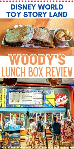 Woody's Lunch Box pin image