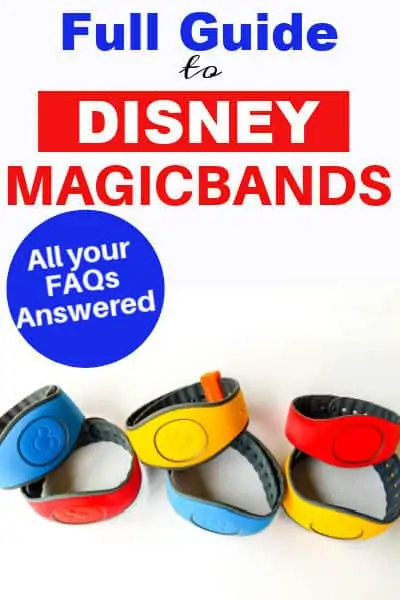 Disney magicband pin image