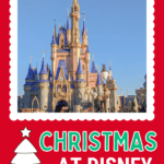 Disney World Christmas guide pin image