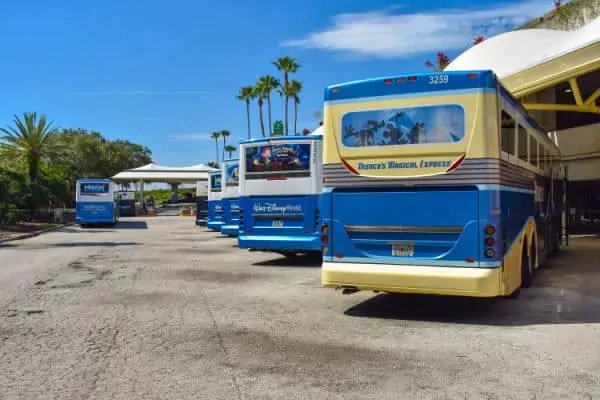 Disney airport transportation: a line of buses outside the airport