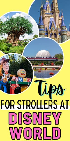Disney World Stroller tip pin image