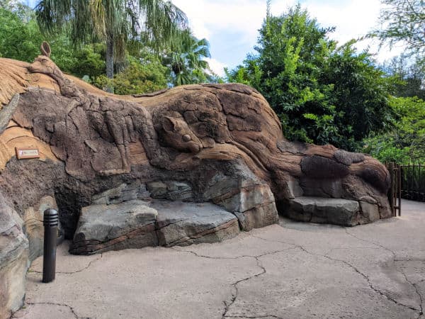 Hidden benches on Tree of Life Garden trail at Animal Kingdom