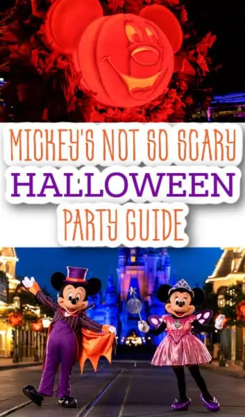 MNSSHP Pin image