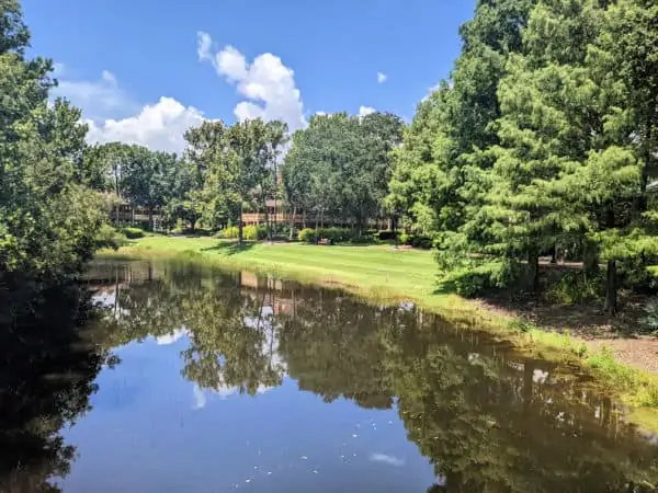 View of Alligator Bayou at Disney's Port Orleans Riverside