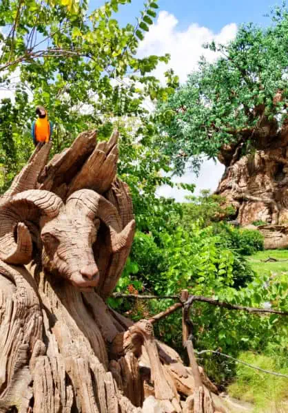 Parrot in front of the Tree of Life at Animal Kingdom