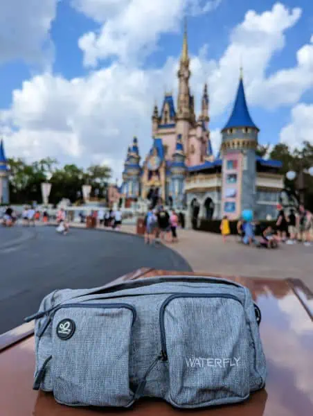 Waterfly fanny pack in the foreground with Cinderella's Castle in the background in Magic Kingdom